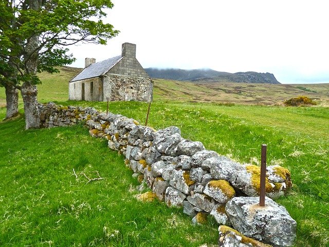 Irish Flag